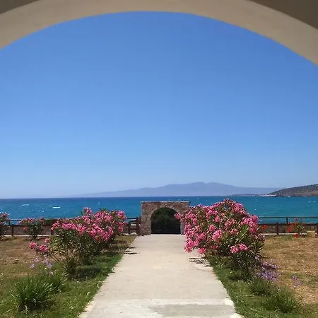 Ammoudia